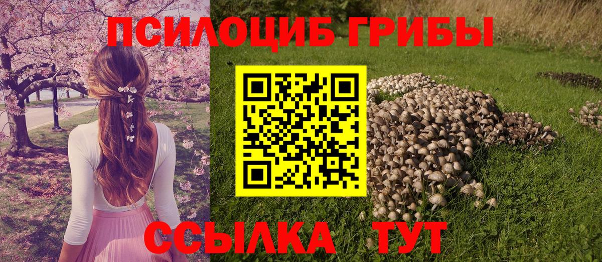 Воронеж  Псилоцибиновые грибы GOLDEN TEACHER  Псилоцибиновые грибы Cubensis  Вход с VPN 